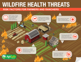 Wildfire health threats: risk factors for farmers and ranchers. Water quality changes (e.g., increased metal content) may make water unsafe for humans and animals. Urgently moving livestock and materials from disaster areas may put you and the animals in danger. Heat exposure may cause fatigue, dizziness, heat stroke, and heat exhaustion. Pollutants and particulate matter (PM2.5) from smoke can worsen heart and respiratory conditions. Exposure to smoke can exacerbate illness and affect quality of life in susceptible populations. Loss of homes, produce, and livestock can cause immense anxiety, stress, and be extremely costly. Logo: AgriSafe Network: Protecting the people who feed the world.