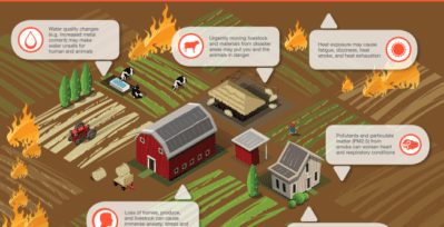 Wildfire health threats: risk factors for farmers and ranchers. Water quality changes (e.g., increased metal content) may make water unsafe for humans and animals. Urgently moving livestock and materials from disaster areas may put you and the animals in danger. Heat exposure may cause fatigue, dizziness, heat stroke, and heat exhaustion. Pollutants and particulate matter (PM2.5) from smoke can worsen heart and respiratory conditions. Exposure to smoke can exacerbate illness and affect quality of life in susceptible populations. Loss of homes, produce, and livestock can cause immense anxiety, stress, and be extremely costly. Logo: AgriSafe Network: Protecting the people who feed the world.