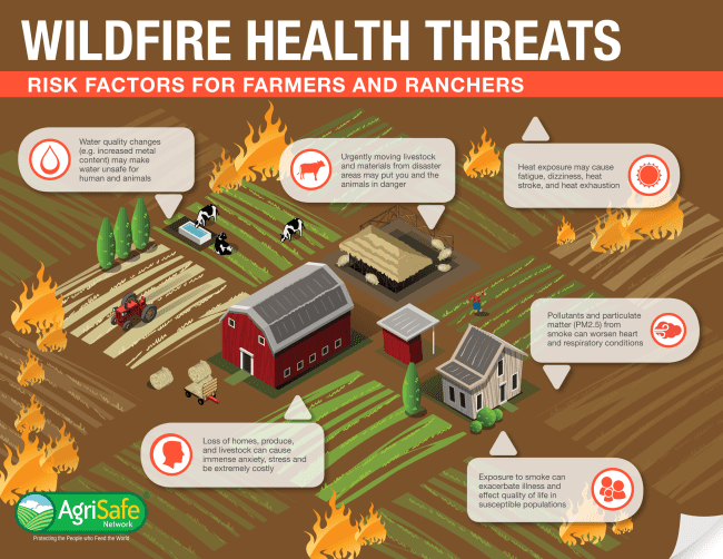 Wildfire health threats: risk factors for farmers and ranchers. Water quality changes (e.g., increased metal content) may make water unsafe for humans and animals. Urgently moving livestock and materials from disaster areas may put you and the animals in danger. Heat exposure may cause fatigue, dizziness, heat stroke, and heat exhaustion. Pollutants and particulate matter (PM2.5) from smoke can worsen heart and respiratory conditions. Exposure to smoke can exacerbate illness and affect quality of life in susceptible populations. Loss of homes, produce, and livestock can cause immense anxiety, stress, and be extremely costly. Logo: AgriSafe Network: Protecting the people who feed the world.