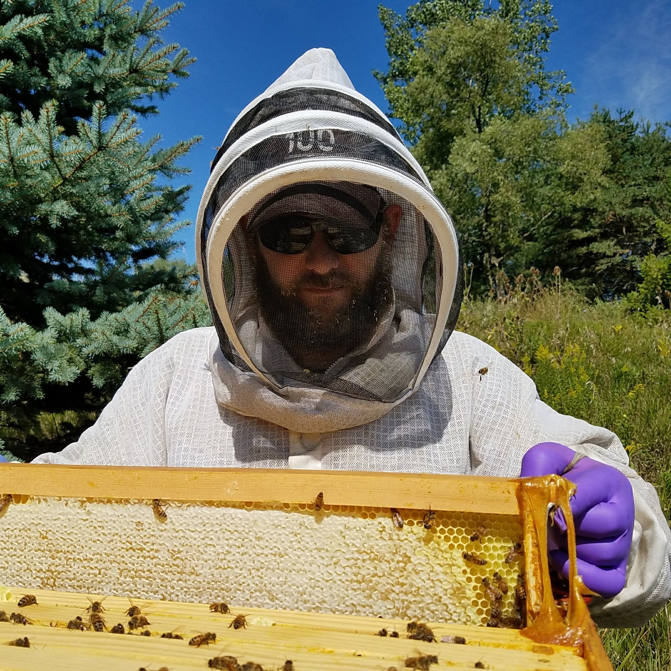 Adam Ingrao, PhD. wearing a beekeeping suit and holding a honeycomb slat.