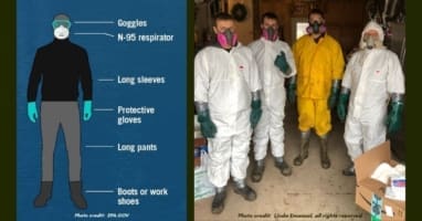 Men wearing particulate respirators, protective coveralls, protective gloves, and rubber boots.