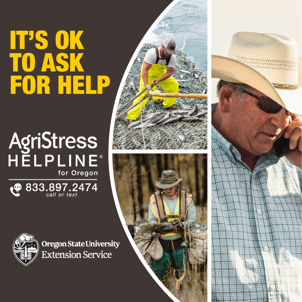 AgriStress Helpline for Oregon 833.897.2474 call or text