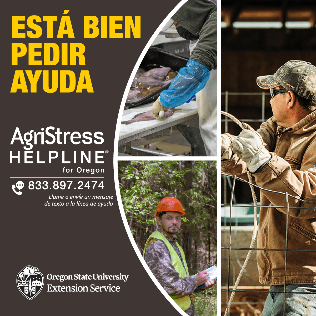 AgriStress Helpline for Oregon 833.897.2474 call or text